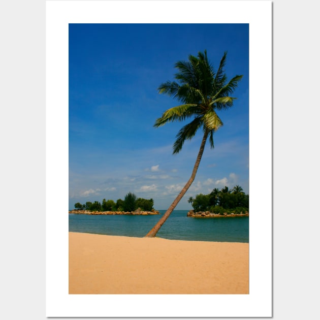 Tropical Palm on the Beach Wall Art by jwwallace